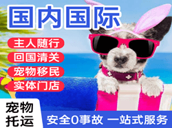 三义航空快运国际宠物托运 【国